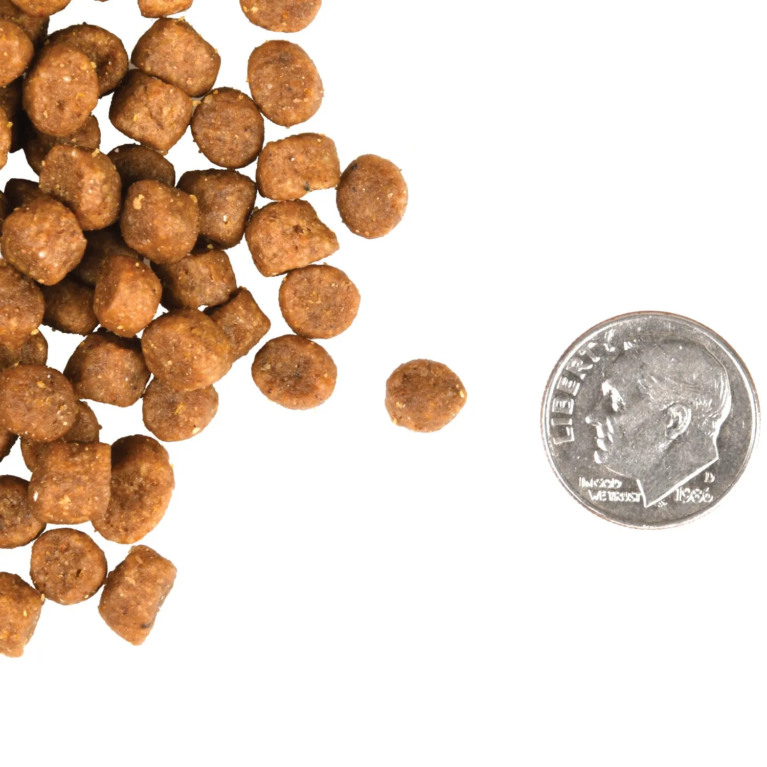 Fromm Gold Kitten Dry Cat Food
