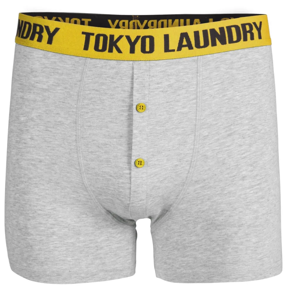 Headlam (2 Pack) Boxer Shorts Set in Buttercup / Simply Green - Tokyo Laundry