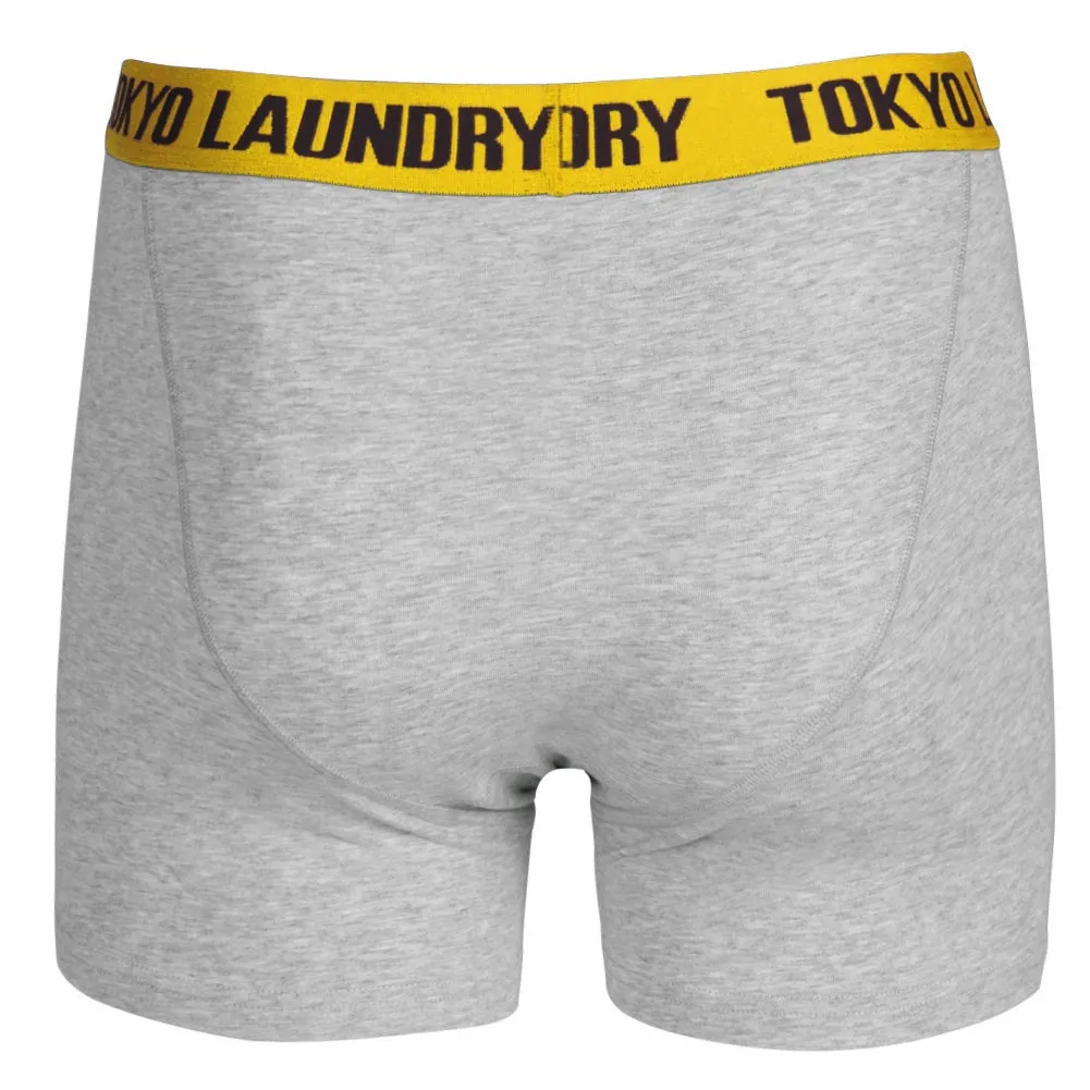 Headlam (2 Pack) Boxer Shorts Set in Buttercup / Simply Green - Tokyo Laundry
