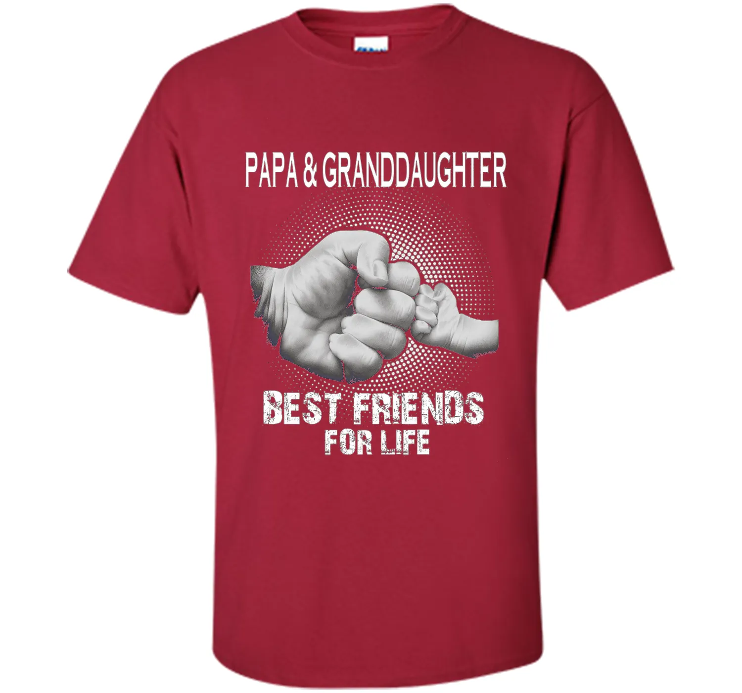 Papa and Granddaughter Best Friends For Life T Shirt