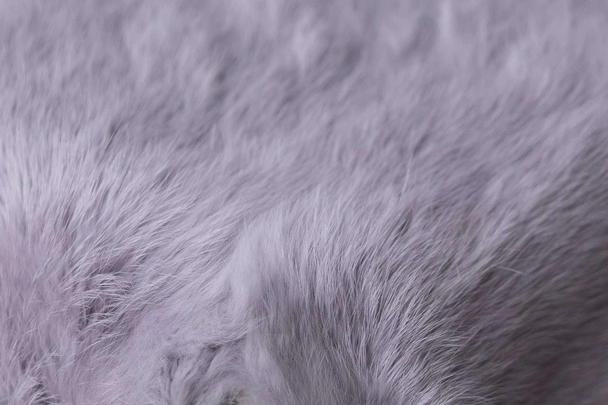 Rabbit Faux Fur - Light Gray