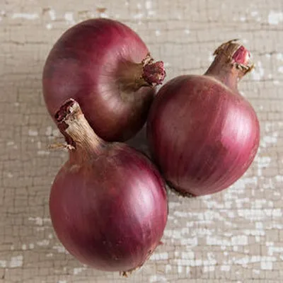 Redwing Onion (F1)