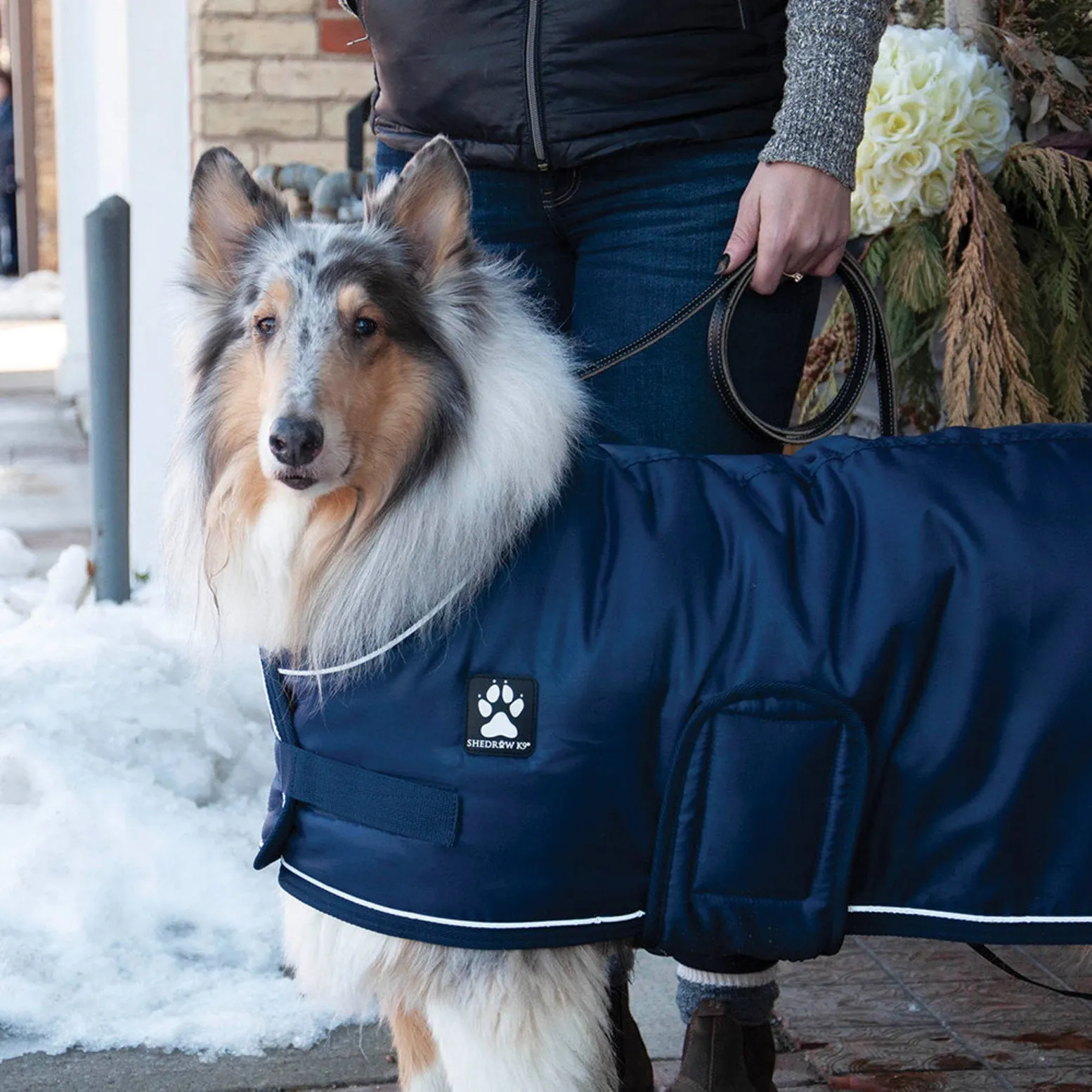 Shedrow K9 Tundra Coat- Navy with Navy Trim (medium) SALE